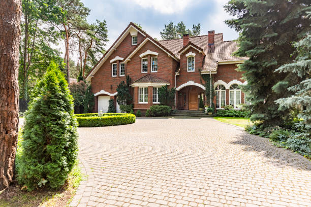 Best Driveway Paving Company  in Colorado City, TX